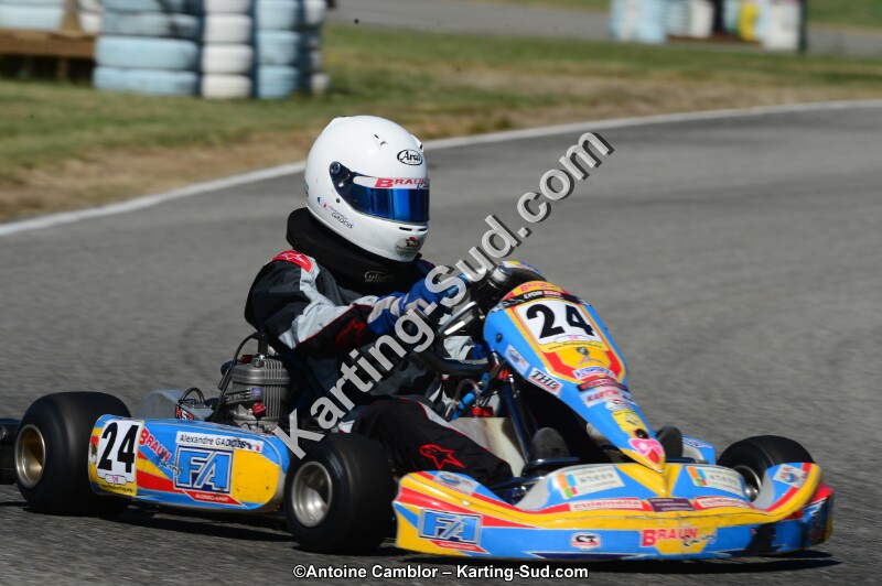 DSC_7819.jpg