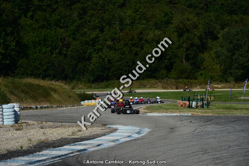DSC_7847.jpg