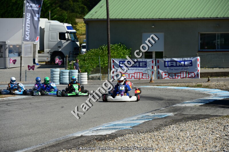 DSC_7852.jpg