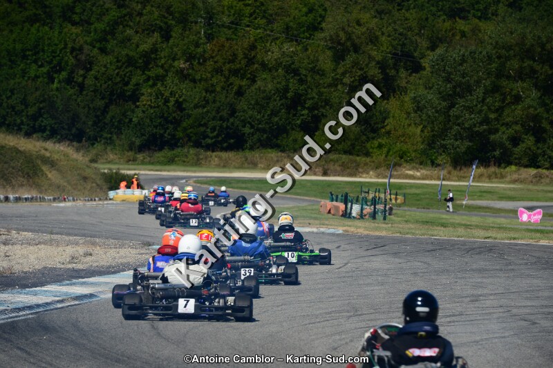 DSC_7857.jpg