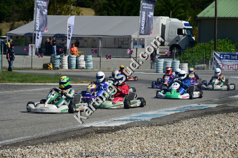DSC_7865.jpg