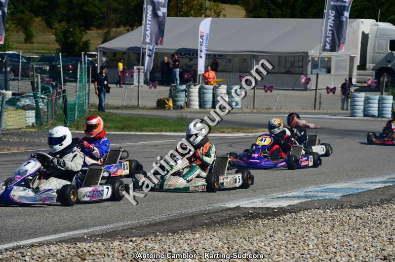 DSC_7866.jpg