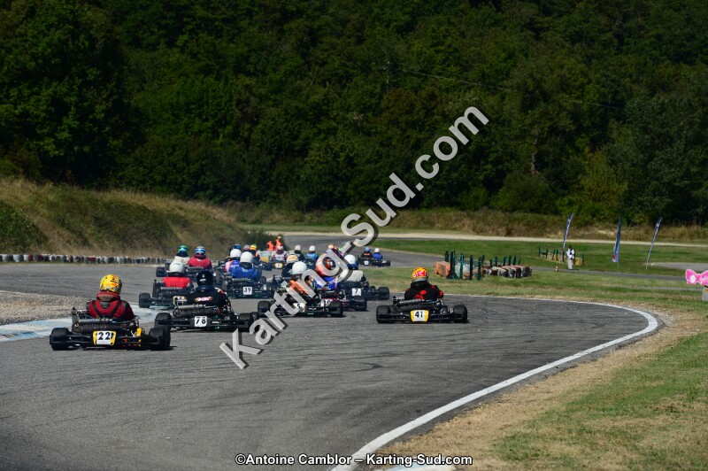 DSC_7868.jpg