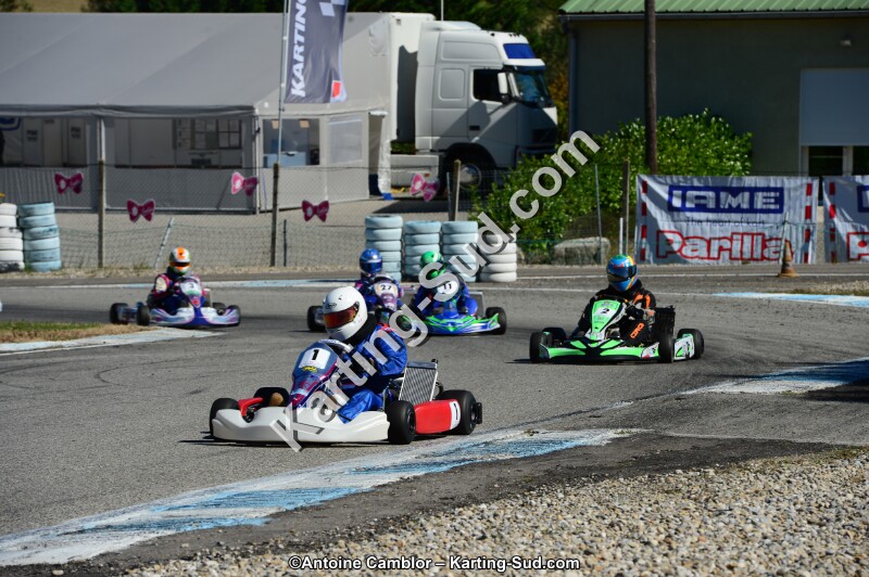 DSC_7869.jpg