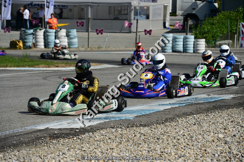 DSC_7873.jpg