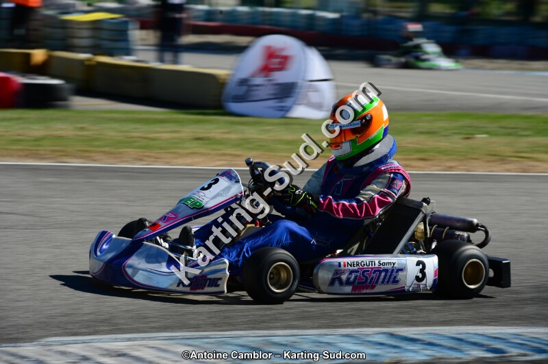 DSC_7897.jpg