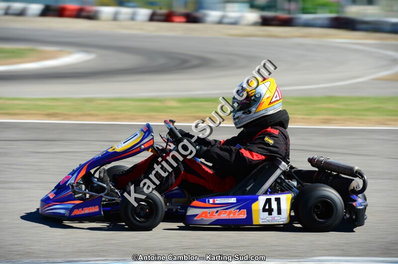 DSC_7909.jpg