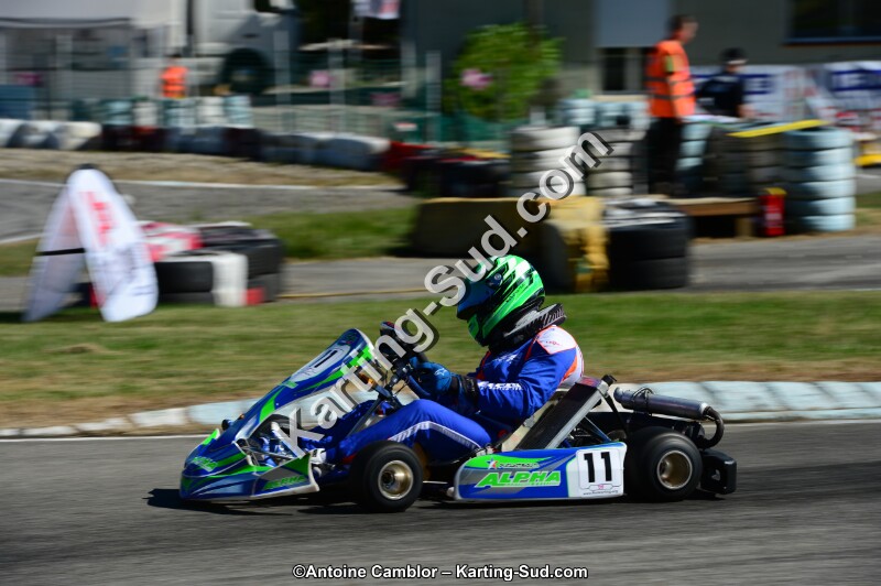 DSC_7917.jpg