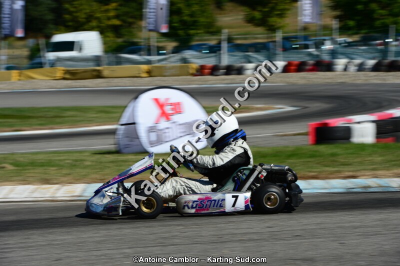 DSC_7935.jpg