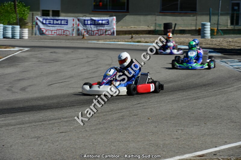 DSC_7937.jpg