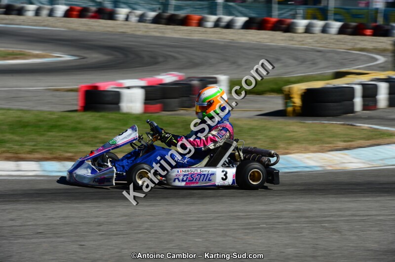 DSC_7938.jpg
