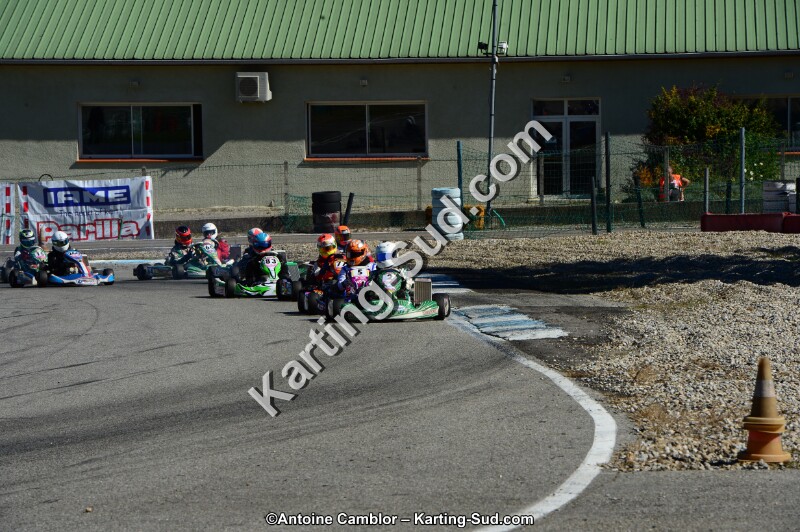 DSC_7945.jpg