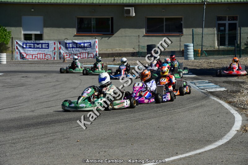 DSC_7946.jpg