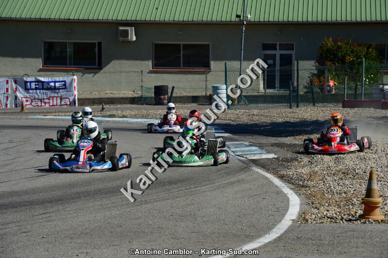 DSC_7947.jpg