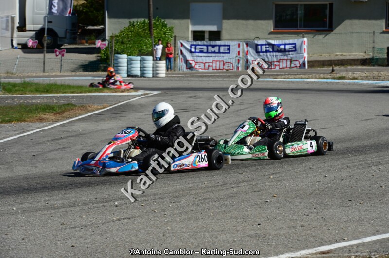 DSC_7951.jpg