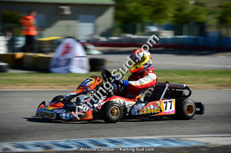 DSC_7973.jpg