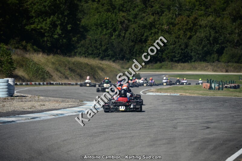 DSC_7984.jpg