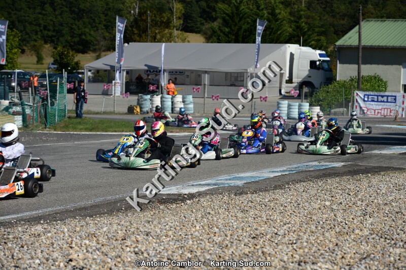 DSC_7991.jpg