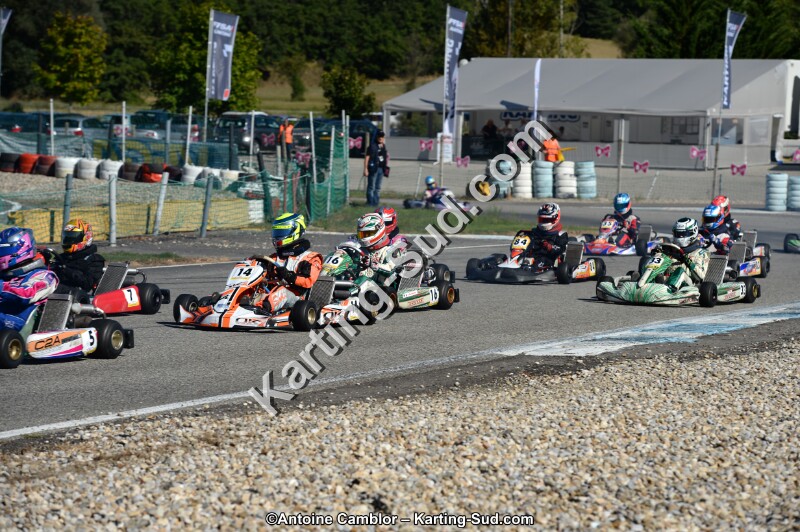 DSC_7992.jpg