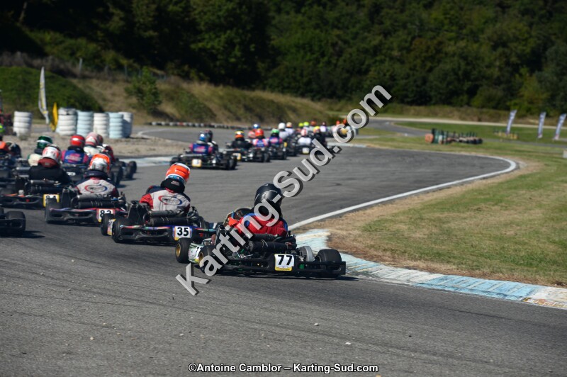 DSC_7994.jpg