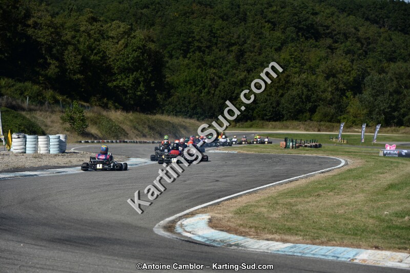 DSC_7995.jpg