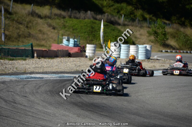 DSC_8001.jpg