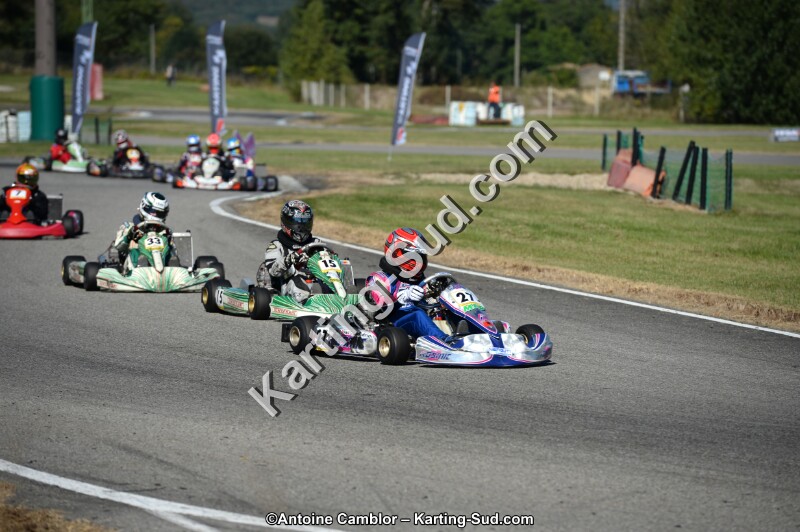 DSC_8005.jpg