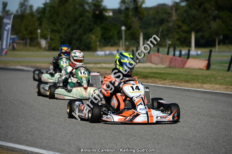 DSC_8012.jpg