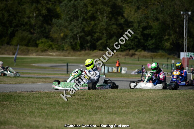 DSC_8019.jpg