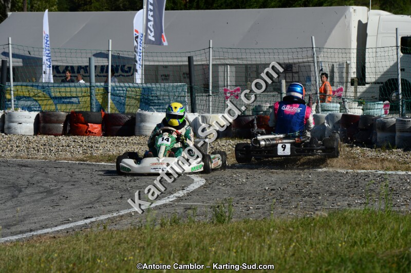 DSC_8126.jpg