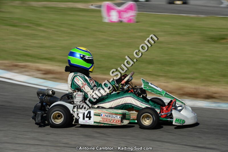 DSC_8152.jpg