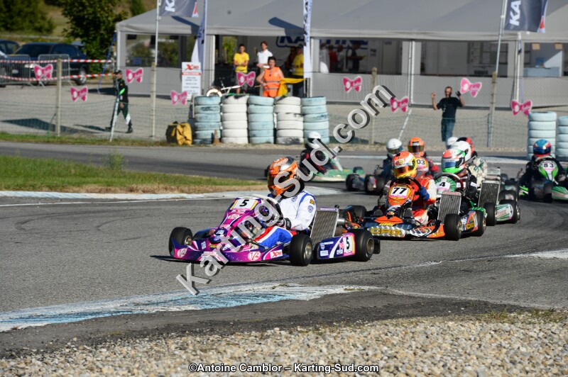 DSC_8163.jpg