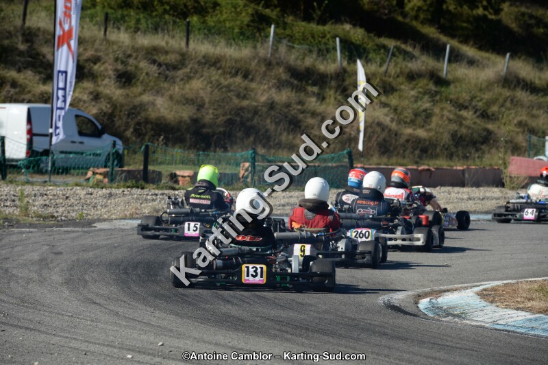 DSC_8166.jpg