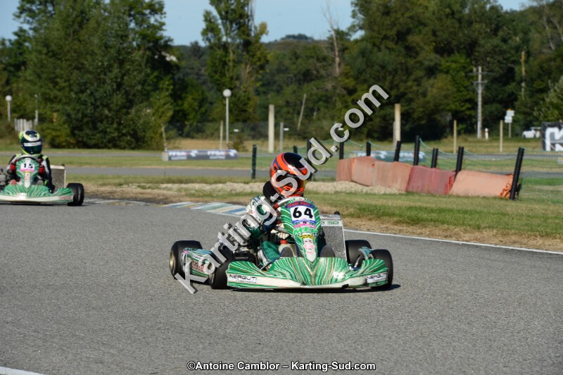 DSC_8174.jpg