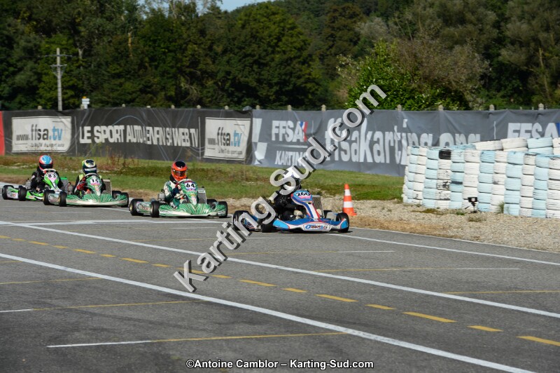 DSC_8196.jpg