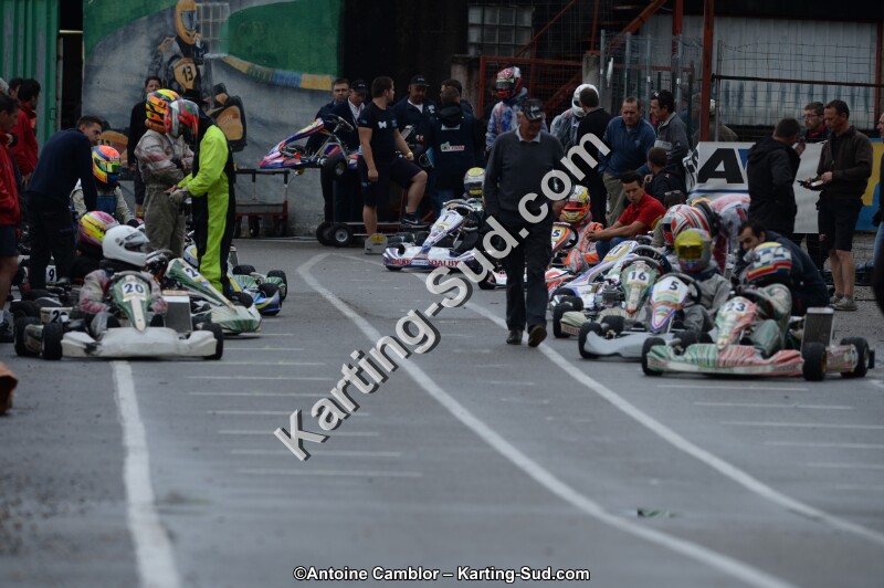 DSC_8223.jpg