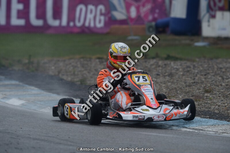 DSC_8251.jpg