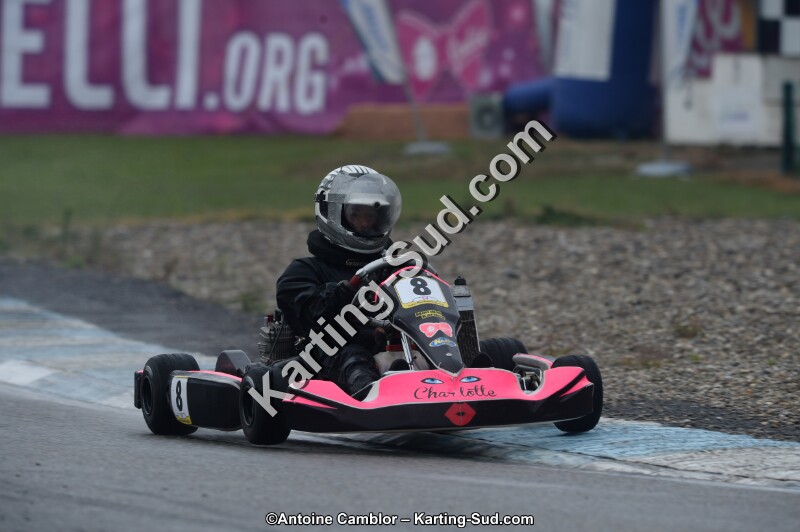 DSC_8252.jpg