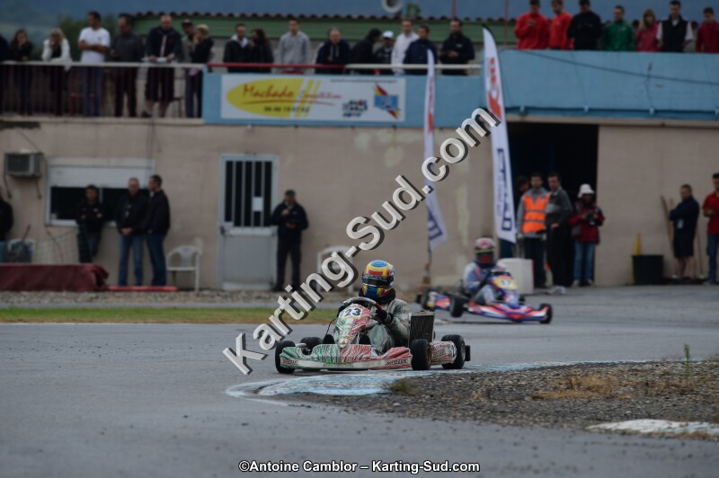 DSC_8319.jpg