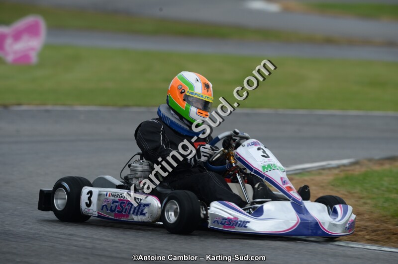 DSC_8380.jpg