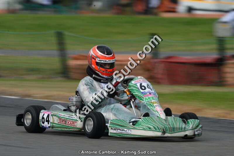 DSC_8464.jpg