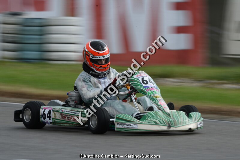 DSC_8511.jpg