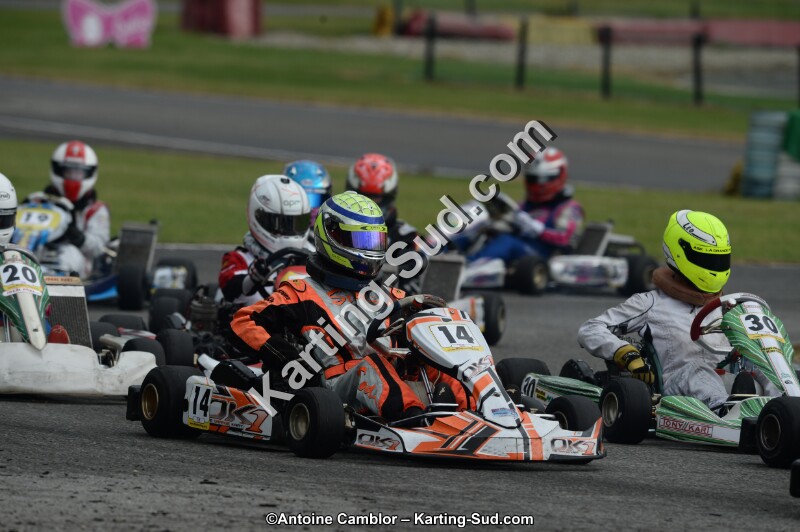 DSC_8576.jpg
