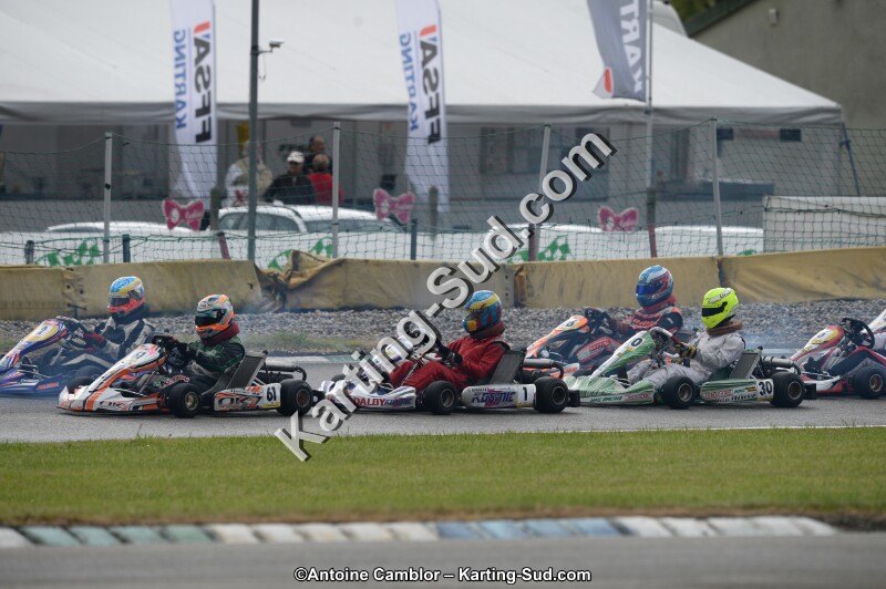 DSC_8584.jpg