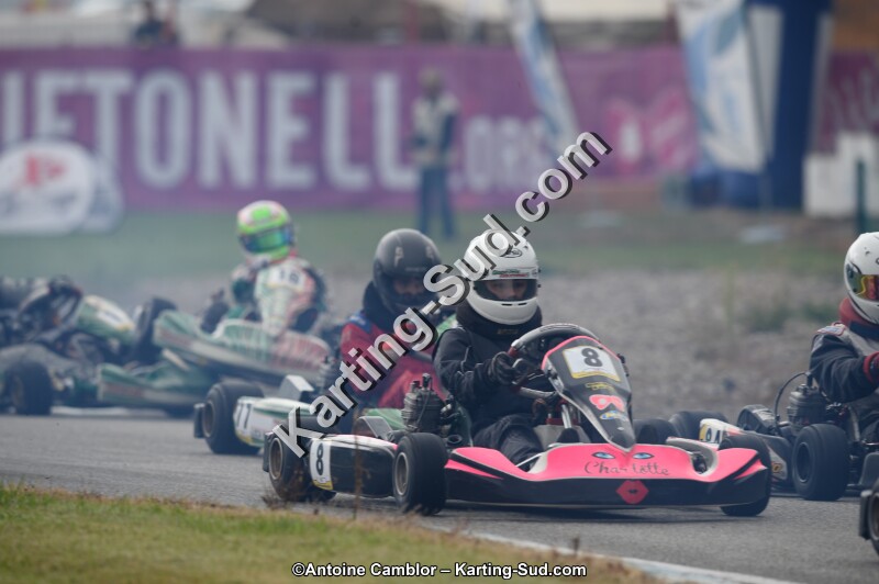 DSC_8617.jpg