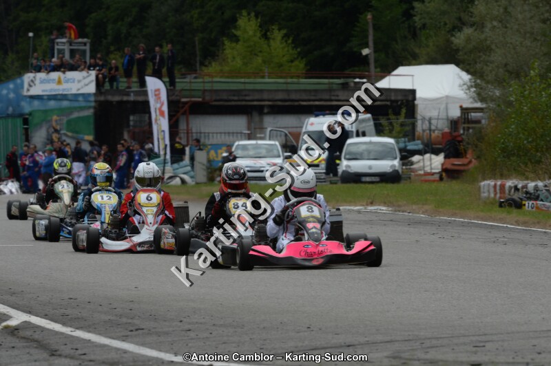DSC_9519.jpg