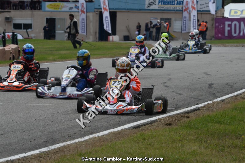 DSC_9555.jpg