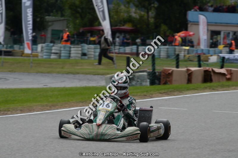 DSC_9558.jpg