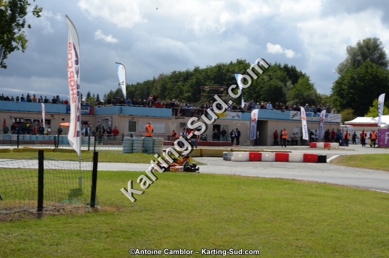 DSC_9751.jpg