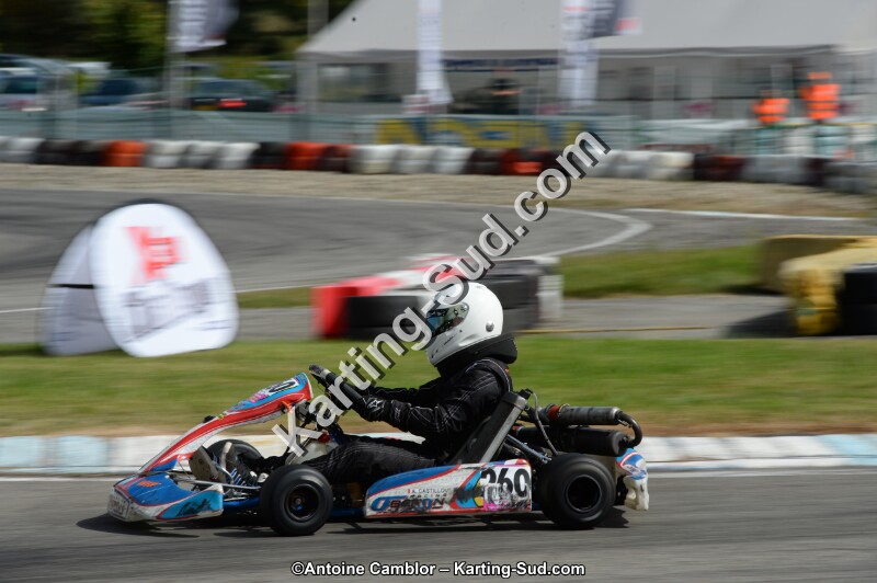 DSC_9800.jpg
